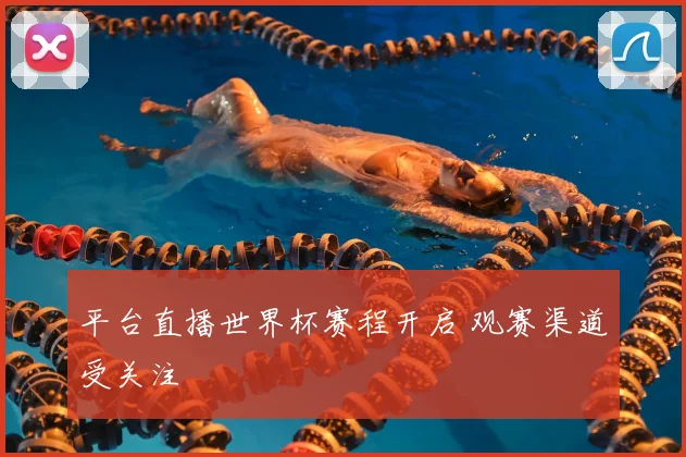 平台直播世界杯赛程开启 观赛渠道受关注